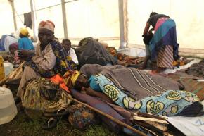 Congolese refugees take shelter in a camp in the town of Kibati, near the city of Goma