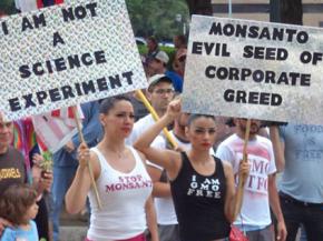 Activists on the march against Monsanto in Austin, Texas