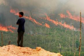 Devastating wildfires rage in Indonesia