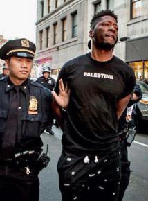 Arrested while showing support for the Palestine struggle